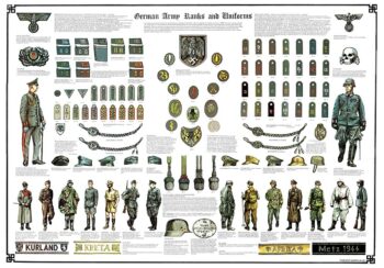 German Army Ranks and Uniforms: Large A1 size poster PRE-ORDER SPECIAL DISCOUNT PRICE