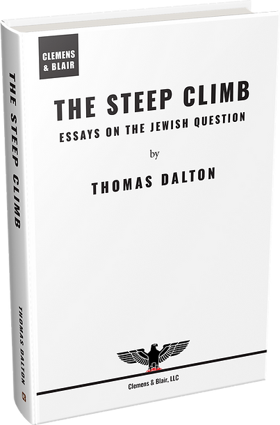THE STEEP CLIMB : ESSAYS ON THE JEWISH QUESTION   Hardback