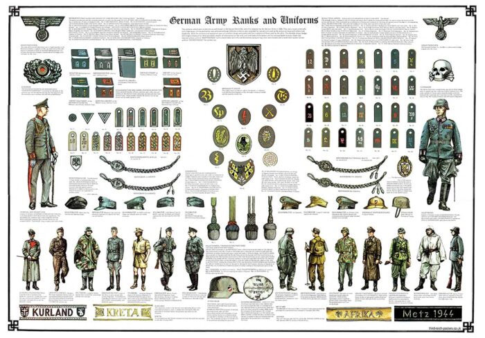 German Army Ranks and Uniforms: Large A1 size poster PRE-ORDER SPECIAL ...